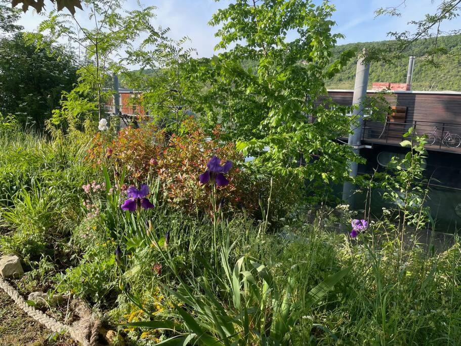 Maison Fleurs De Lys, Climatisee, Wifi Et Parking Privee Gratuit, Lave-linge, Vernon Giverny * Vernon (Eure)